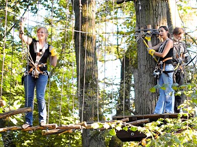 Eine Gruppe beim klettern im Hochseilgarten tree2tree